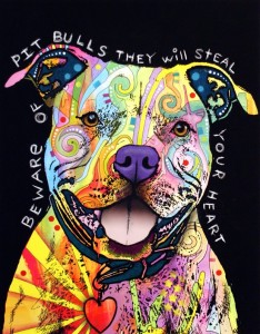Dogs Pit Bull