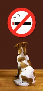 No Smoking Dog.