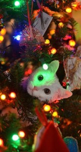 kitty in xmas tree