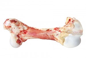 Large meaty dog bone, isolated on white.